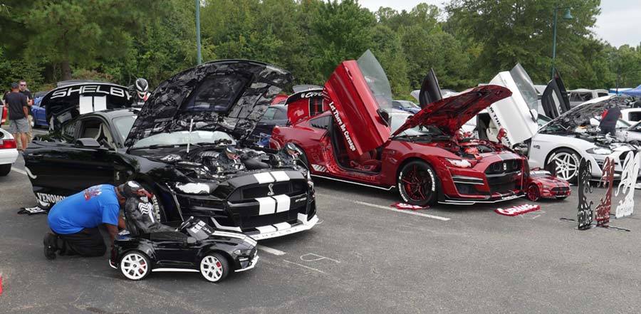41st Annual Mustang and Ford Show September 19