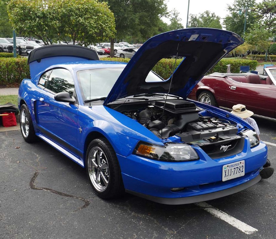 P1120076.jpg