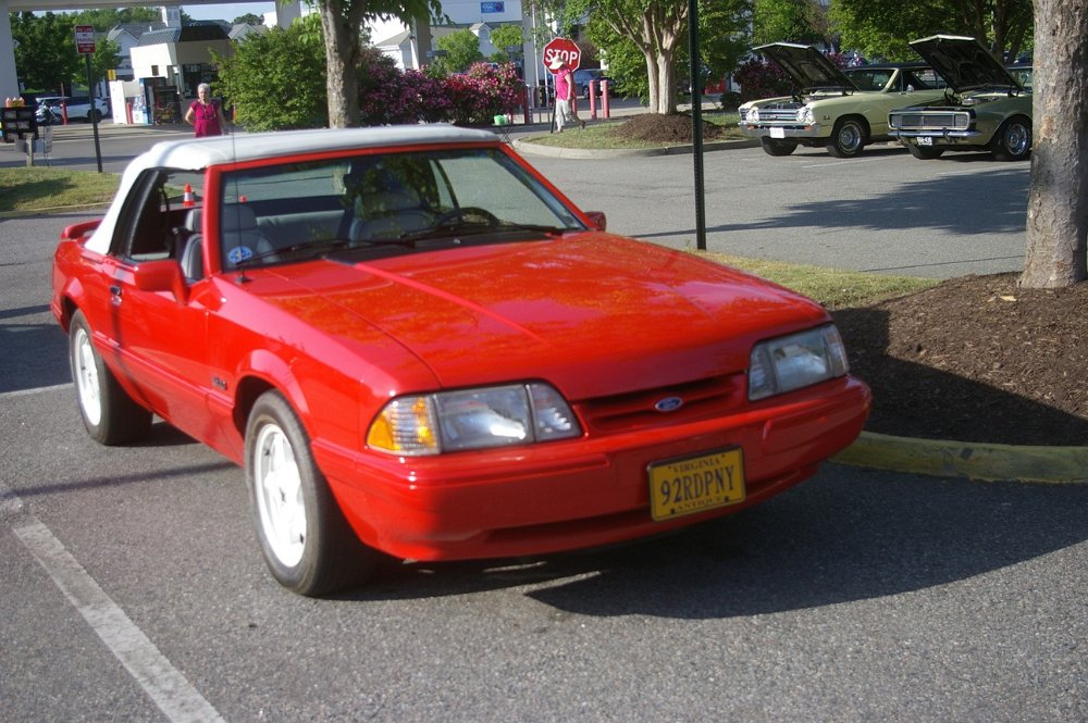 IMGP6875.JPG