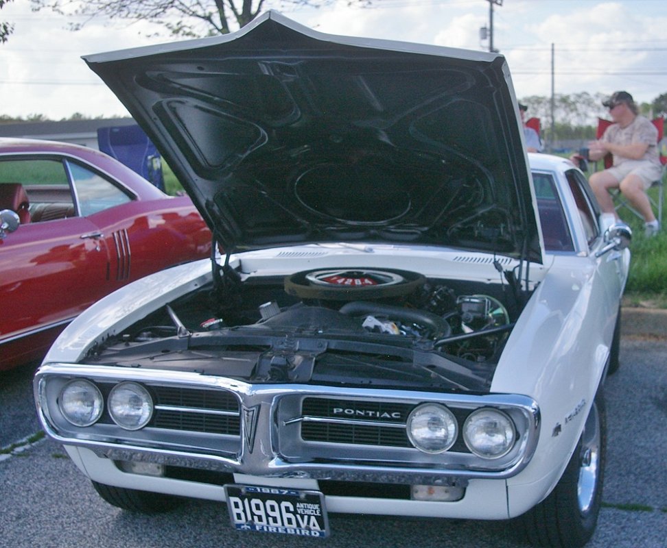 IMGP6805.JPG