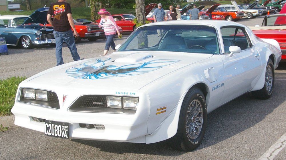 IMGP6810.JPG