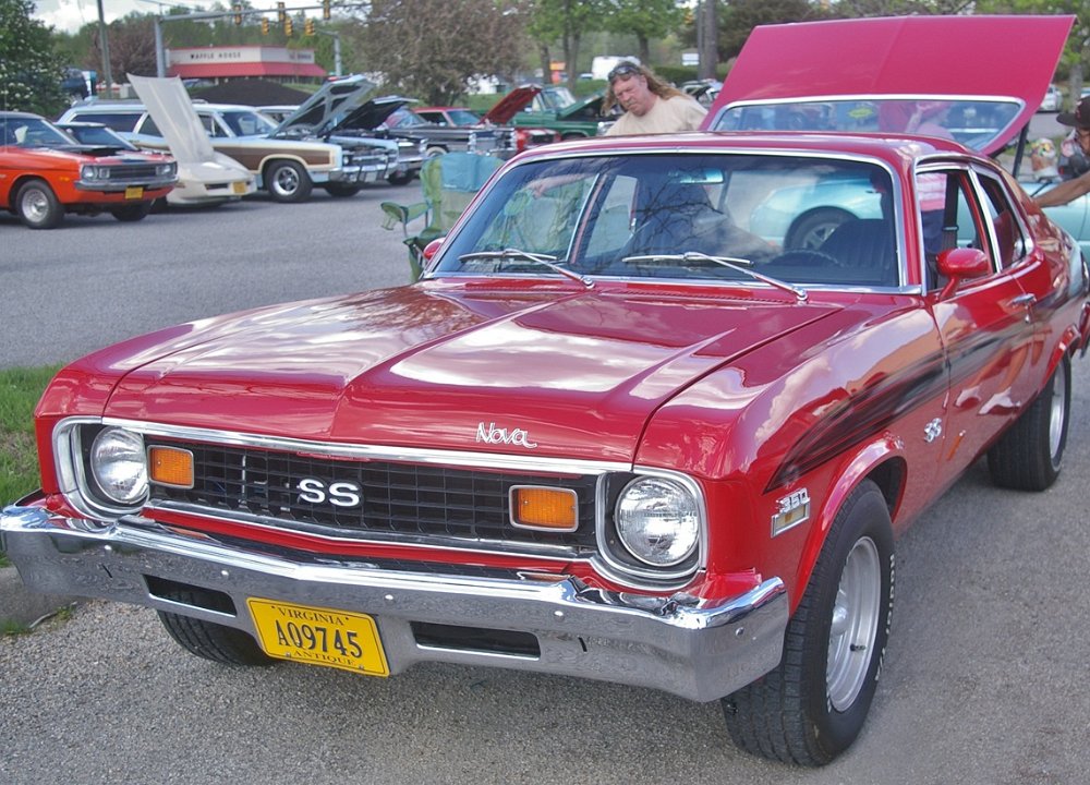 IMGP6817.JPG