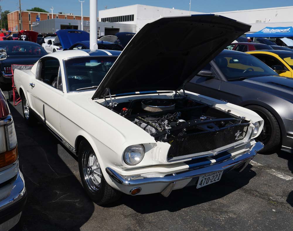 P1110254.jpg