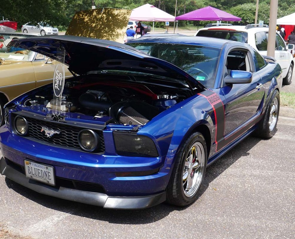 P1110745.jpg