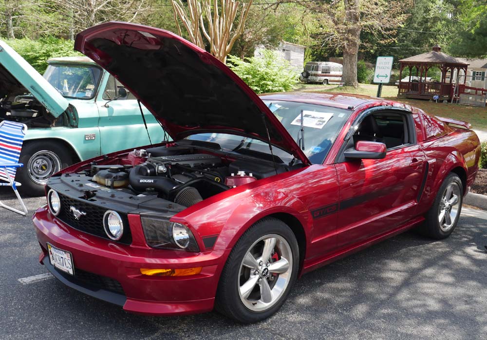 P1090739.jpg
